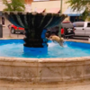 Sweet Dog Living His Very Best Life And Enjoying The Smaller Things In Life