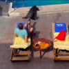Wendy The Sea Lion Invades Vacation And Decided To Get Comfy On One Man’s Sunbed