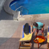 Wendy The Sea Lion Invades Vacation And Decided To Get Comfy On One Man’s Sunbed