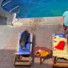Wendy The Sea Lion Invades Vacation And Decided To Get Comfy On One Man’s Sunbed