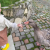 Mom Rushes Out While Breastfeeding To Save Beloved Goose From Eagle Attack