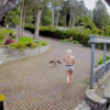 Mom Rushes Out While Breastfeeding To Save Beloved Goose From Eagle Attack