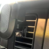 Frog Hitchhikes On Car Mirror And Quickly Gets Invited To Ride Inside