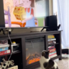 Cat Obsessed With Cartoons Asks Mom Every Morning To Watch Them