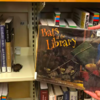 Adorable Little Animal Takes Nap While Curled Up With Books