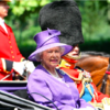 Millions Of Royal Bees Were Informed After The Passing Of Queen Elizabeth II