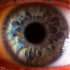 Incredible Macro Photos Given a Deeper Look Into The Human Eye