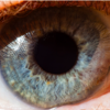 Incredible Macro Photos Given a Deeper Look Into The Human Eye