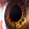 Incredible Macro Photos Given a Deeper Look Into The Human Eye