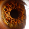 Incredible Macro Photos Given a Deeper Look Into The Human Eye