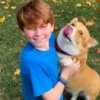 Adorable Corgi Loves Giving Hugs To Everyone On His Walks