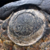 Giant Aztec Snake Head Sculpture Uncovered After Mexico Earthquake