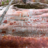 Thousands Of Ice Age Rock Painting Discovered In The Amazon