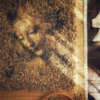 Artist Creates Incredible Artwork Made Out Of Pebbles All