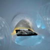 Largest Hotel Constructed From Ice Features Brand New Scenery And Sculptures