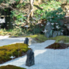 Beautiful Japanese Garden Filled With Incredibly Calming Transparent Flowers