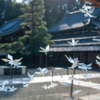 Beautiful Japanese Garden Filled With Incredibly Calming Transparent Flowers