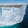 Adorable Baby Penguins Make Their Way Off An Icy Cliff To Go Swimming For The First Time