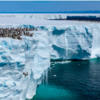 Adorable Baby Penguins Make Their Way Off An Icy Cliff To Go Swimming For The First Time
