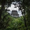 Lost Mayan City Discovered In The Jungle By a Group Of Students By Accident