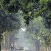 Warning  Issued By Scientists On The Future Of Earth As Almost No CO2 Was Absorbed By Trees