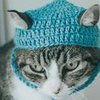 Adorable Tiny Crochets Used To Study Chronic Pain In Cats