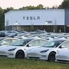 Tesla Sees $15 Billion Drop In Its Value