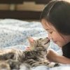 Study Shows Cats Are Aware When You Talk In Your Cat Voice