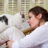 Study Shows Cats Are Aware When You Talk In Your Cat Voice