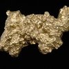Largest Gold Nugget Weighs The Same As An Adult Man